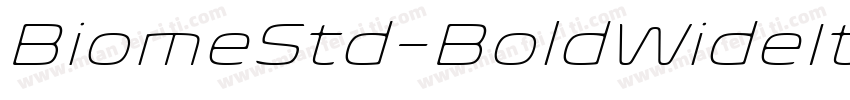 BiomeStd-BoldWideIt字体转换