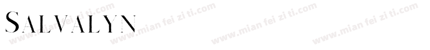 Salvalyn字体转换