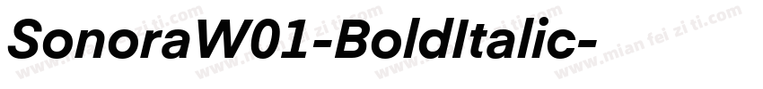 SonoraW01-BoldItalic字体转换