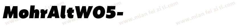 MohrAltW05字体转换