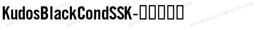 KudosBlackCondSSK字体转换
