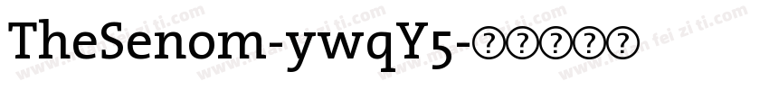 TheSenom-ywqY5字体转换