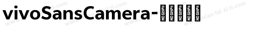 vivoSansCamera字体转换
