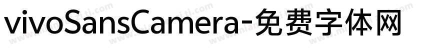 vivoSansCamera字体转换