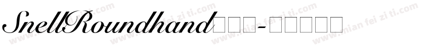 SnellRoundhand手机版字体转换