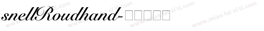 snellRoudhand字体转换