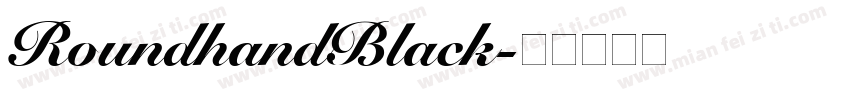 RoundhandBlack字体转换
