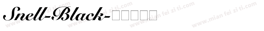 Snell-Black字体转换