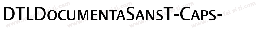 DTLDocumentaSansT-Caps字体转换
