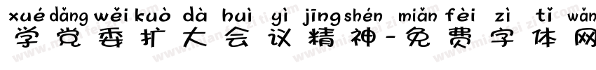 学党委扩大会议精神字体转换