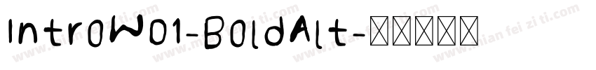 IntroW01-BoldAlt字体转换