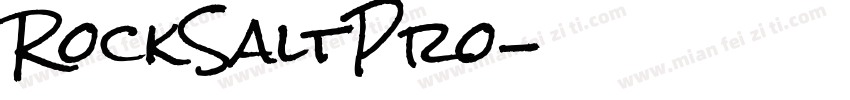 RockSaltPro字体转换