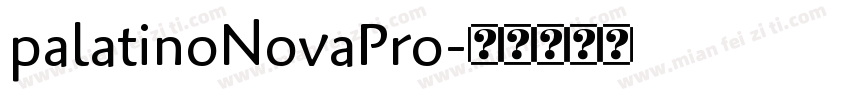 palatinoNovaPro字体转换