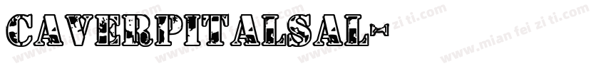 CaverPitalsal字体转换
