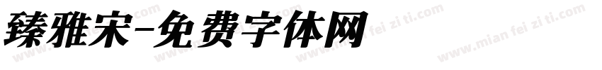 臻雅宋字体转换