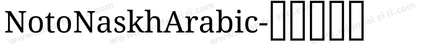 NotoNaskhArabic字体转换