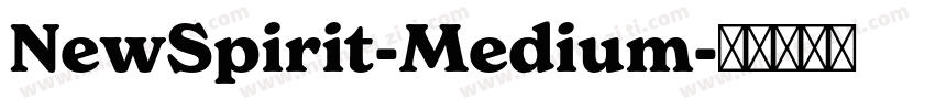 NewSpirit-Medium字体转换