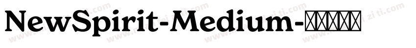 NewSpirit-Medium字体转换