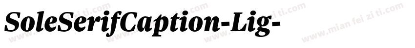 SoleSerifCaption-Lig字体转换