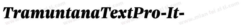 TramuntanaTextPro-It字体转换