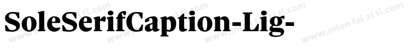 SoleSerifCaption-Lig字体转换