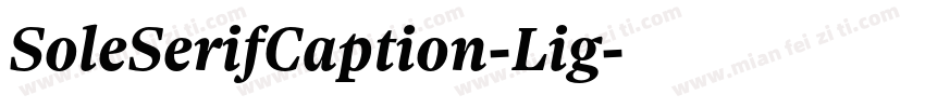 SoleSerifCaption-Lig字体转换