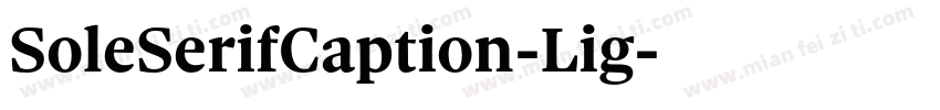 SoleSerifCaption-Lig字体转换