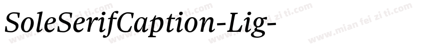 SoleSerifCaption-Lig字体转换