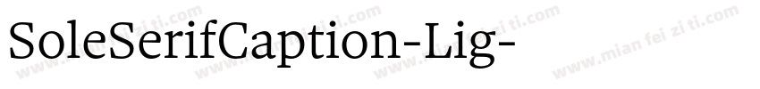 SoleSerifCaption-Lig字体转换