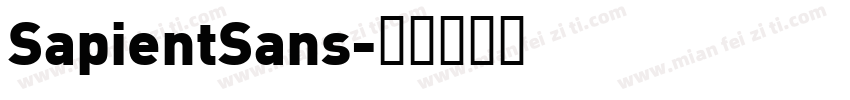 SapientSans字体转换