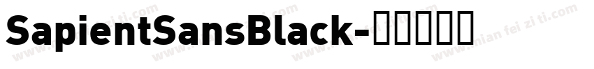 SapientSansBlack字体转换
