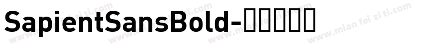 SapientSansBold字体转换