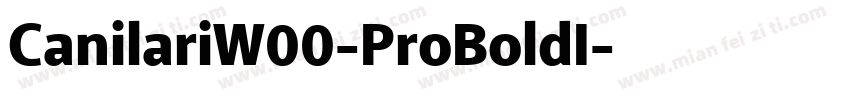 CanilariW00-ProBoldI字体转换