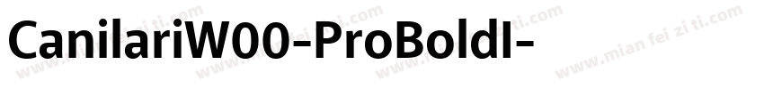 CanilariW00-ProBoldI字体转换