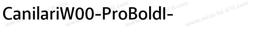 CanilariW00-ProBoldI字体转换