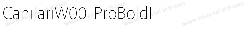 CanilariW00-ProBoldI字体转换