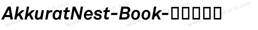 AkkuratNest-Book字体转换