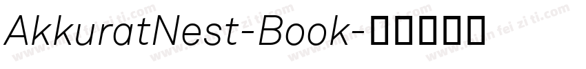 AkkuratNest-Book字体转换