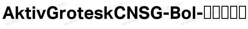 AktivGroteskCNSG-Bol字体转换