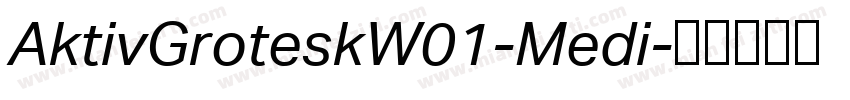 AktivGroteskW01-Medi字体转换