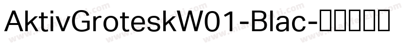 AktivGroteskW01-Blac字体转换