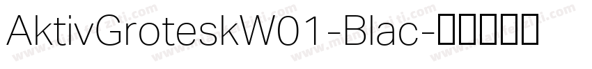 AktivGroteskW01-Blac字体转换