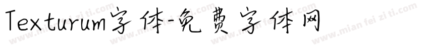 Texturum字体字体转换