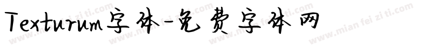 Texturum字体字体转换