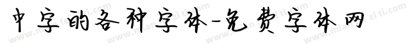 中字的各种字体字体转换