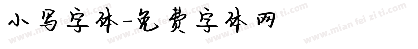 小写字体字体转换