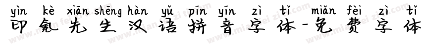 印氪先生汉语拼音字体字体转换
