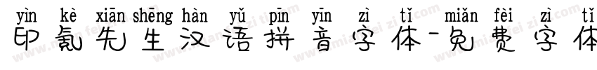 印氪先生汉语拼音字体字体转换