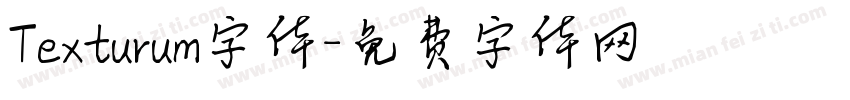 Texturum字体字体转换