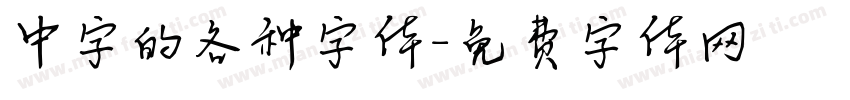 中字的各种字体字体转换
